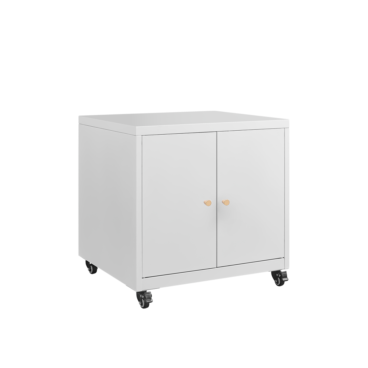 Byshtec Large Metal Rolling Printer Cabinet with Storage