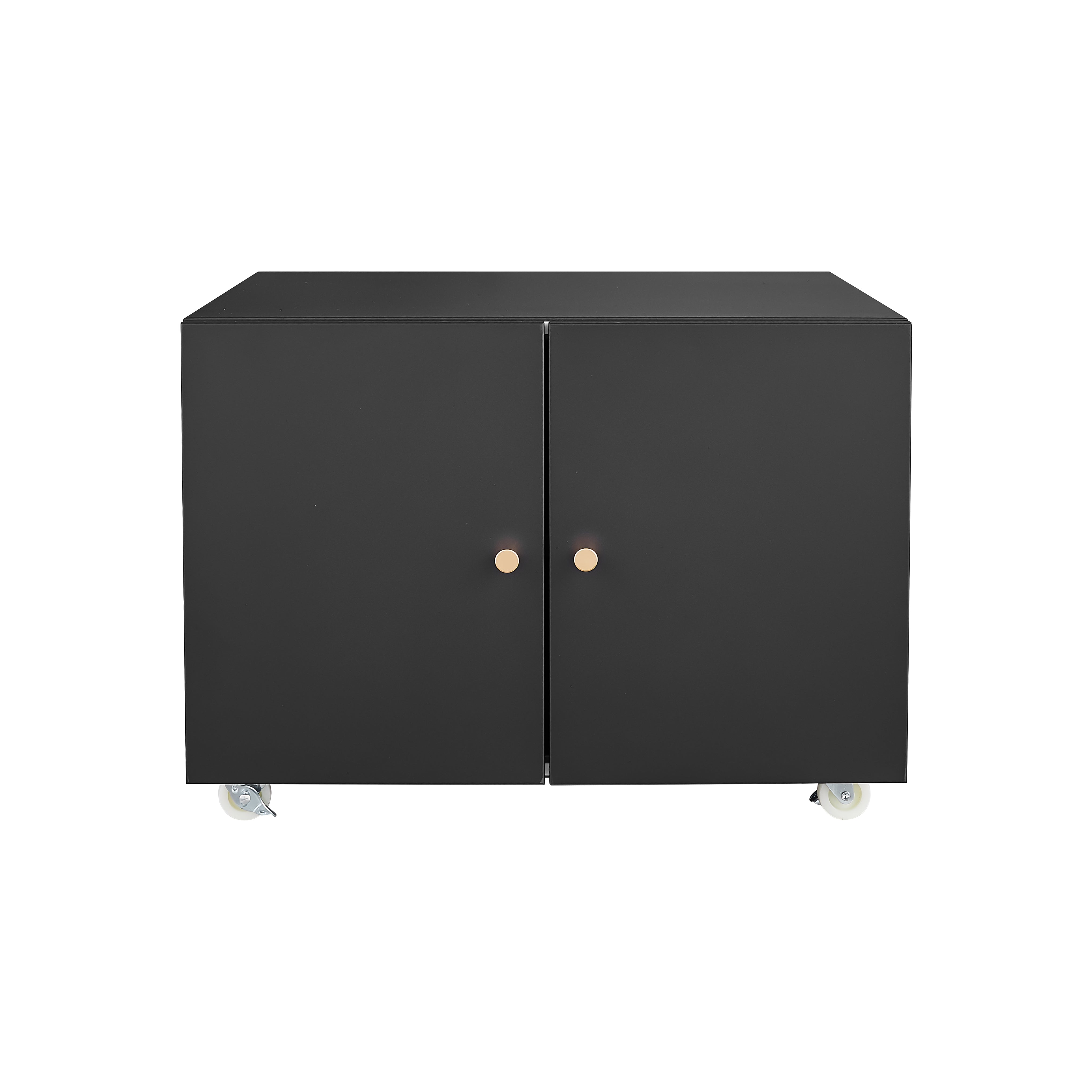 Black Rolling Printer Stand with Storage Cabinet, Adjustable Shelf & Door, Mobile File Cabinet on Wheels