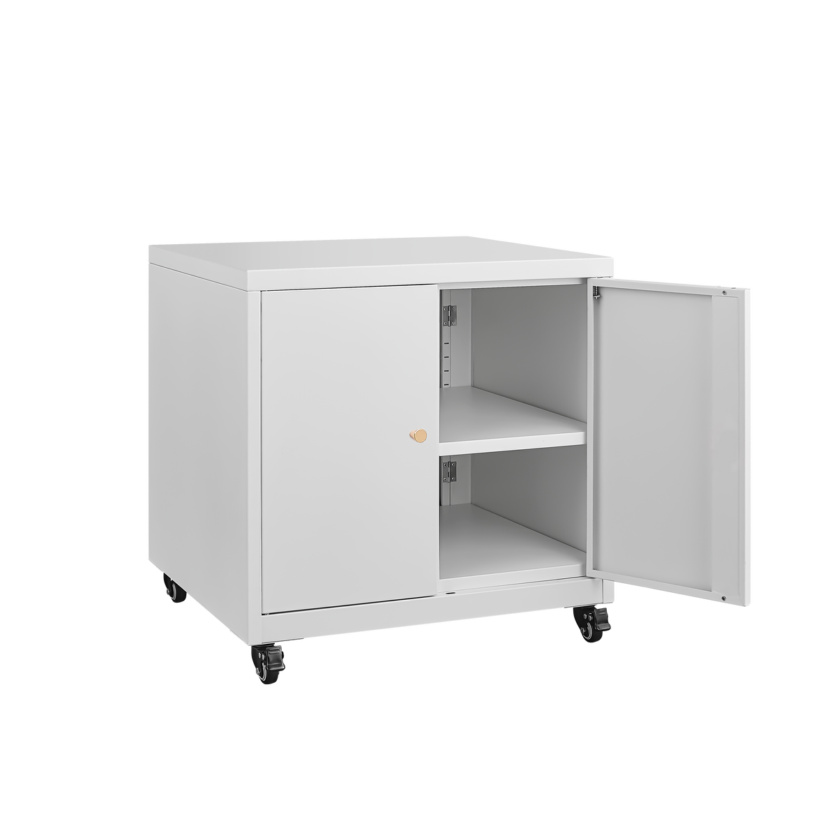 Byshtec Large Metal Rolling Printer Cabinet with Storage